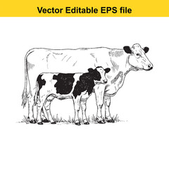 vector art of farm animal cow and calf in a field, isolated on white background