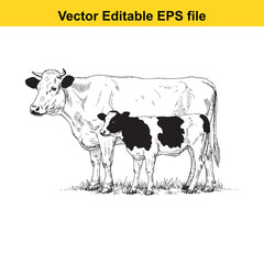 vector art of mother cow and calf in a field, isolated on white background