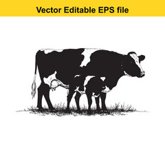 vector art of black and white cow and calf illustration isolated on white background