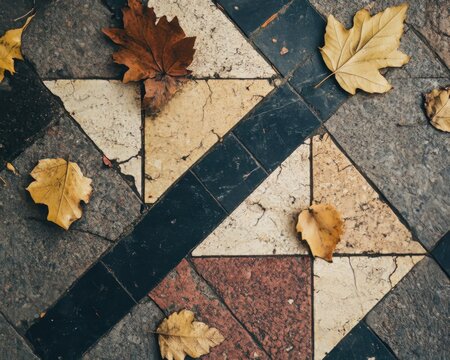 A beautiful, aged mosaic of the Golden Ratio with dried leaves on a university floor. For themes of science, art, and history.