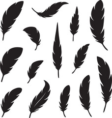 Collection of black feather silhouettes on a white background quill bird feather