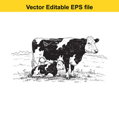 vector art of black and white drawing of a cow and calf in a field