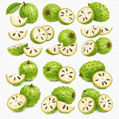 A detailed collection of green custard apples, illustrated whole, halved, and sliced to show the creamy white flesh and dark seeds.