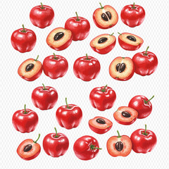 An illustrated collection of bright red acerola cherries, some whole and others sliced in half.