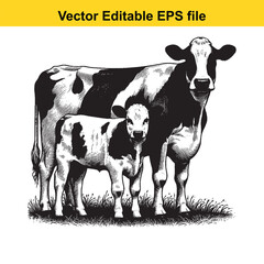  vector art of farm animal illustration cow and calf