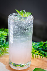 Iced pink soda with sparkling bubbles and mint leaves garnish, served in a clear glass on a wooden surface with green leaves in the background.
