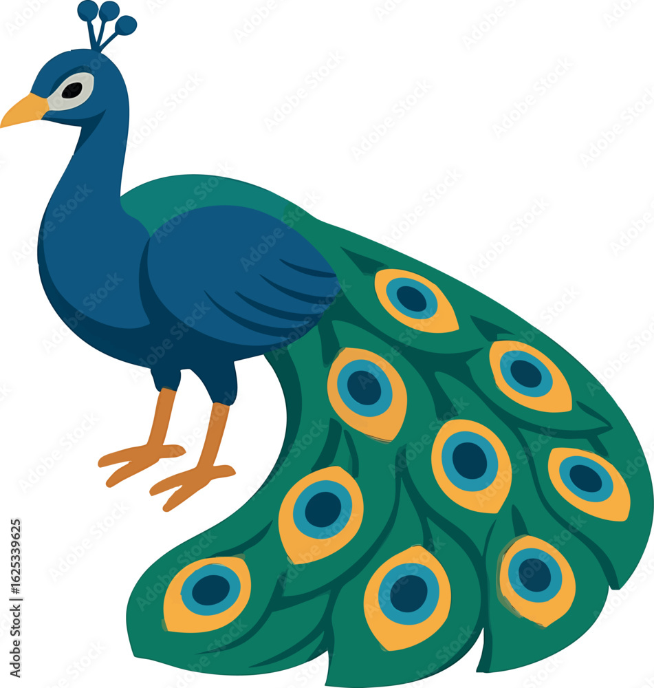 Poster isometric vector peacock with tail feathers down in stylized arcs, vector-friendly, isolated on whit