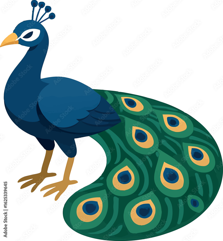 Poster isometric vector peacock with tail feathers down in stylized arcs, vector-friendly, isolated on whit