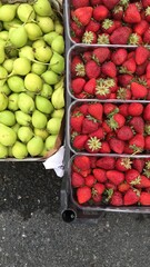 fresh strawberries in a box