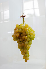 A bunchA bunch of grapes hanging from the ceiling
of grapes.