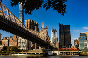 Obraz premium View of the Williamsburg Bridge from Roosevelt Island