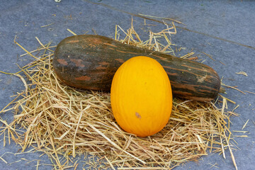 Pumpkin and yellow melon in the market.