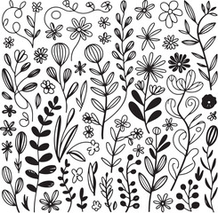 Black and white floral and botanical line art illustrations vector
