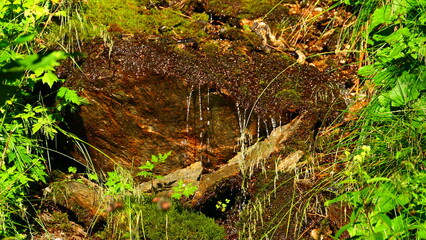 kleines Bächlein, Wasseridylle im Wald