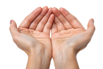 Woman's hands giving and receiving, isolated on white background.
