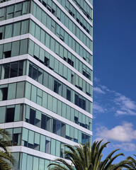 Modern Glass Building and Palm Tree Under Blue Sky