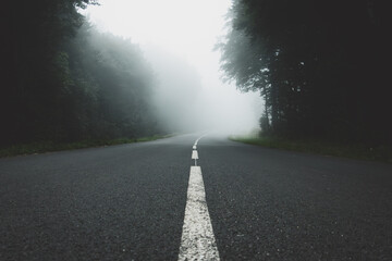 Brouillard sur une route de montagne dans le Vercors entour&eacute;e de for&ecirc;t &agrave; l'aube