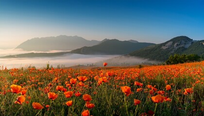 orange poppies bloom in a misty landscape with mountains in the background the scene captures a serene and tranquil atmosphere