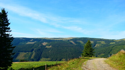 Obraz premium Wander- und Forstwege am Wechsel