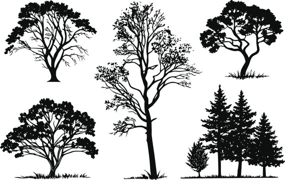 "Tree Silhouette Vector Collection &ndash; High-Resolution Black Tree Icons Set"