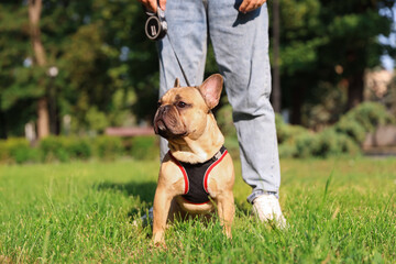 Man with his cute French bulldog in park, closeup