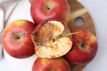 Spoiled apple and good ones on white table, top view