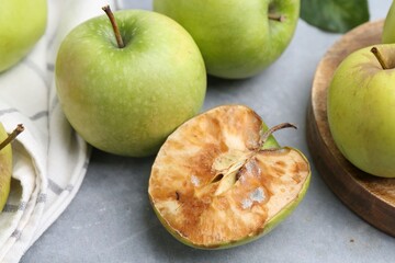 Spoiled apple and good ones on grey table, closeup