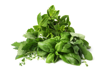 Different fresh green herbs isolated on white