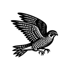 Majestic Falcon in Flight Black and White Illustration.