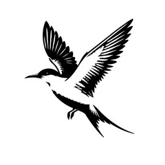 Fototapeta premium Stylized Black and White Bird in Flight.