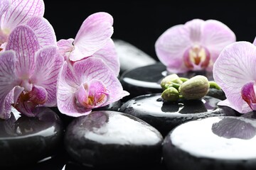 Beautiful orchid flowers with water drops and buds on spa stones, closeup