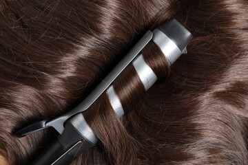 Curling iron with shiny brown hair, top view
