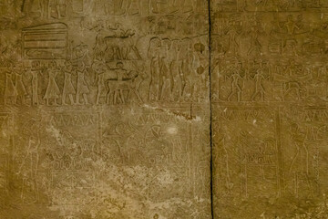 Egyptian ancient pictures on the stone wall