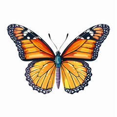 Obraz premium a stippling vector illustration of a monarch butterfly with micro dots on wing veins, body segments, and antennae detail