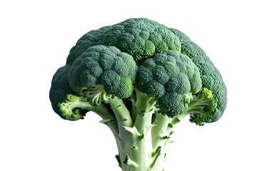 Broccoli on white background