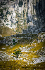 Scenic summer landscape of Durmitor National Park in Montenegro, Europe