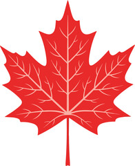 Red Maple Leaf Flat Illustration