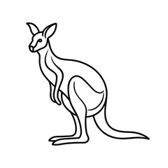 Cute wild kangaroo and baby cartoon vector illustration