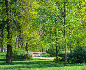 Winding path inviting to walk in the park during spring