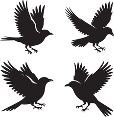 Obraz premium Set of black bird silhouettes flying with wings spread including eagle raven crow hawk and dove vector design collection