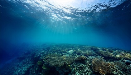 beneath the waves exploring underwater beauty ocean depths nature photography bright light serene environment tranquil viewpoint