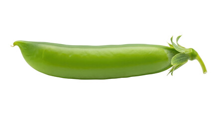 Isolated Single Green Pea Pod