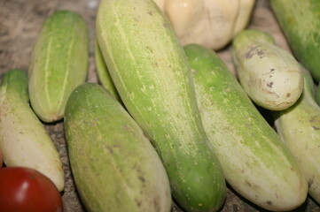 Cucumbers