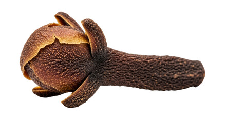 Isolated Single Clove Spice
