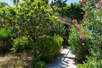 Medieval garden on the territory of the old town of Rhodes. Cypresses, shrubs, rhododendra, lemon trees, wildflowers