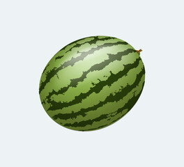Watermelon isolated on white 3D render vector illustration. Whole watermelon. striped watermelon with a ponytail