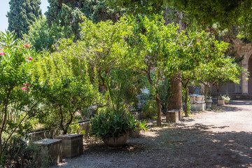 Medieval garden on the territory of the old town of Rhodes. Cypresses, shrubs, rhododendra, lemon trees, wildflowers