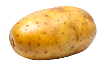 Closeup of a single raw potato, a starchy root vegetable, isolated on transparent background, perfect for cooking and healthy eating
