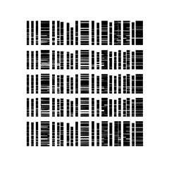 Fototapeta premium Abstract black lines pattern design with horizontal stripe art and vertical element illustration for graphic style