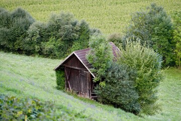 Fototapeta premium old farm house